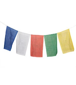 DZi Prayer Flag: Gcs Tara, Large Multi